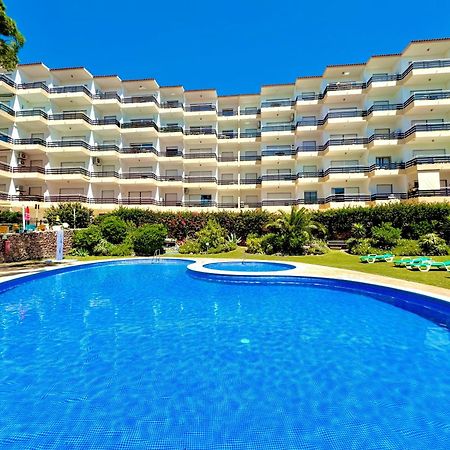 Vilamoura Palm Tree With Pool By Homing Extérieur photo